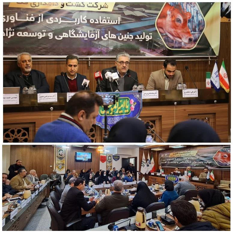 توسعه نژاد گاو جرسی و فناوری‌های نوین تولید جنین