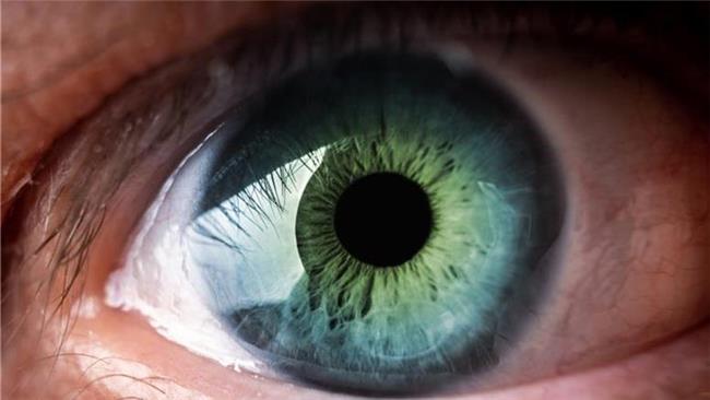 چشم‌ها طول عمر ما را پیش بینی می‌کنند!