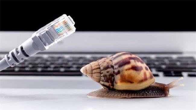 از حمله کوسه‌ها تا هجوم دانشجویان