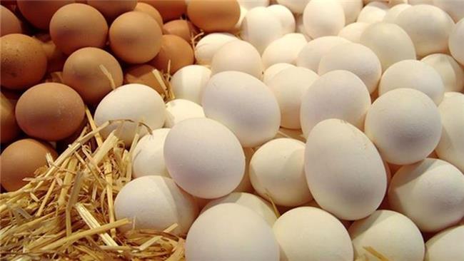 قاچاق تخم‌مرغ هم به کشور اضافه شد