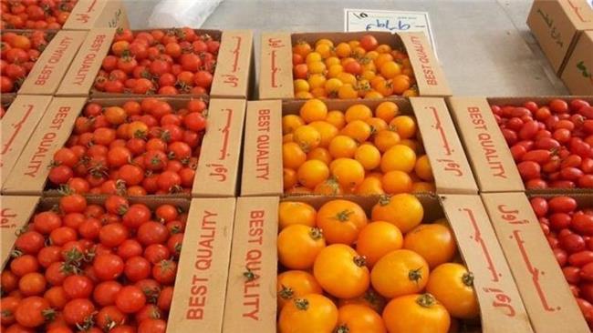 آیا برگشت خوردن محصولات کشاورزی ایران سیاسی است؟