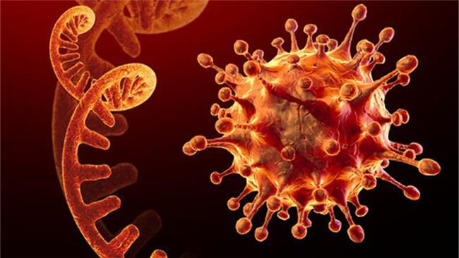 گسترش اومیکرون؛ سویه جدید کووید در آفریقا