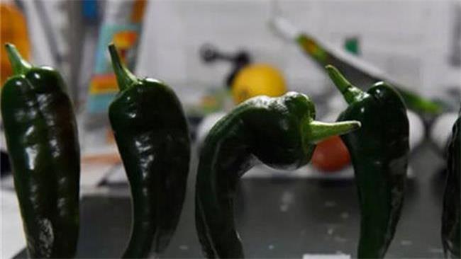 معجزه فلفل سیاه در بدن