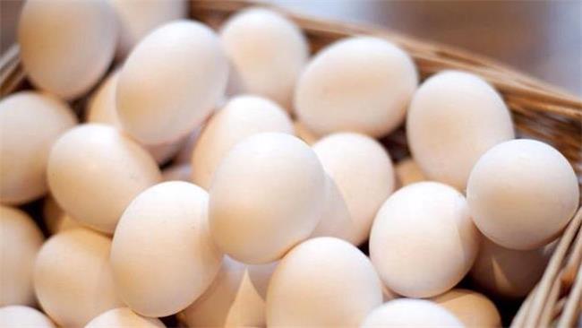 ترکش های جنگ به تخم مرغ رسید!