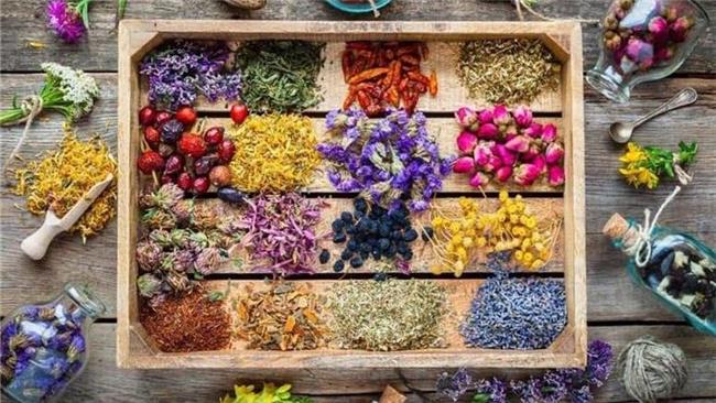 فریب داروهای چاقی گیاهی را نخورید