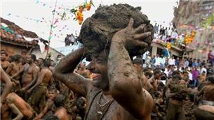 مبارزه با انبوهی از سرگین گاو در هند/ببینید