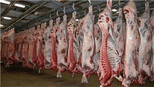 کشف و انهدام باند توزیع گوشت‌های آلوده در اصفهان