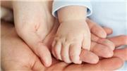 کاهش ۸/۹ درصدی ثبت ولادت در سال ۱۴۰۴